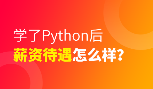 python學會了能做什么